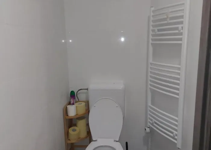 Apartment Forest